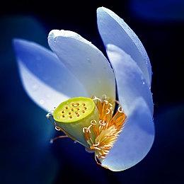 传《真人快打12》即将在5月公布